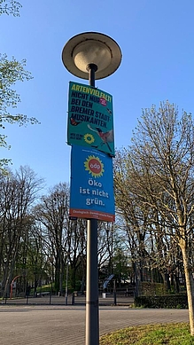 Plakatwahlkampf in Bremen